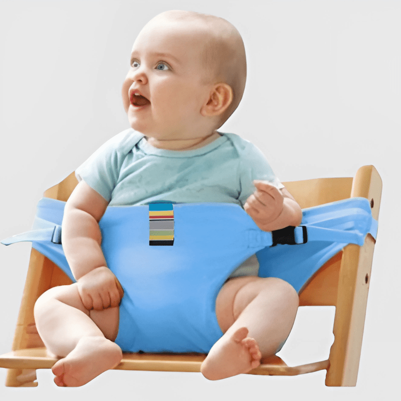 Easyseat Portable Baby Safety Anywhere product photo