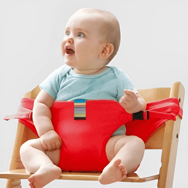 Easyseat Portable Baby Safety Anywhere product photo