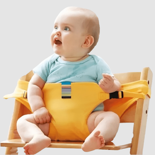 Easyseat Portable Baby Safety Anywhere product photo